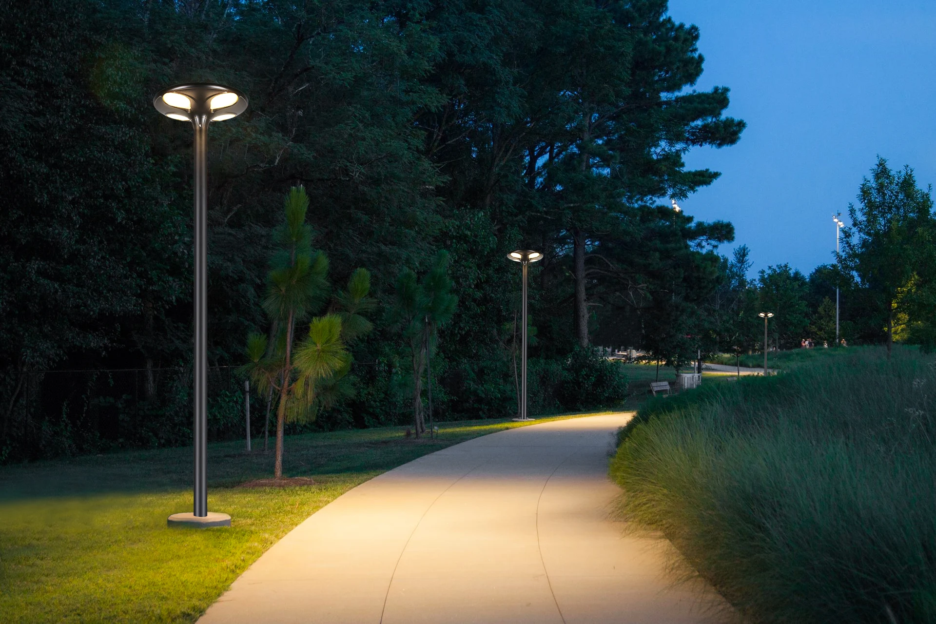 Park greenway pedestrian pathway evening scene