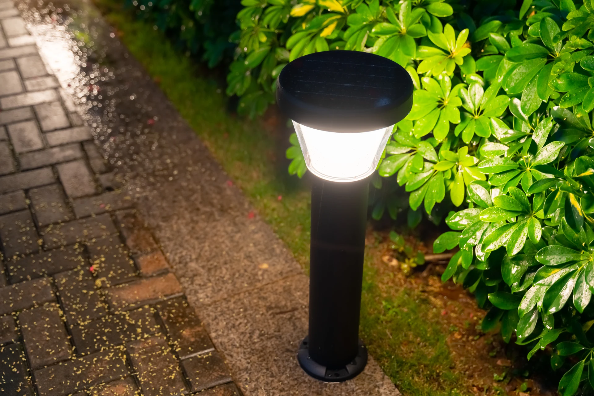 SGL-4105 solar garden light beside lush botanical walkway at twilight