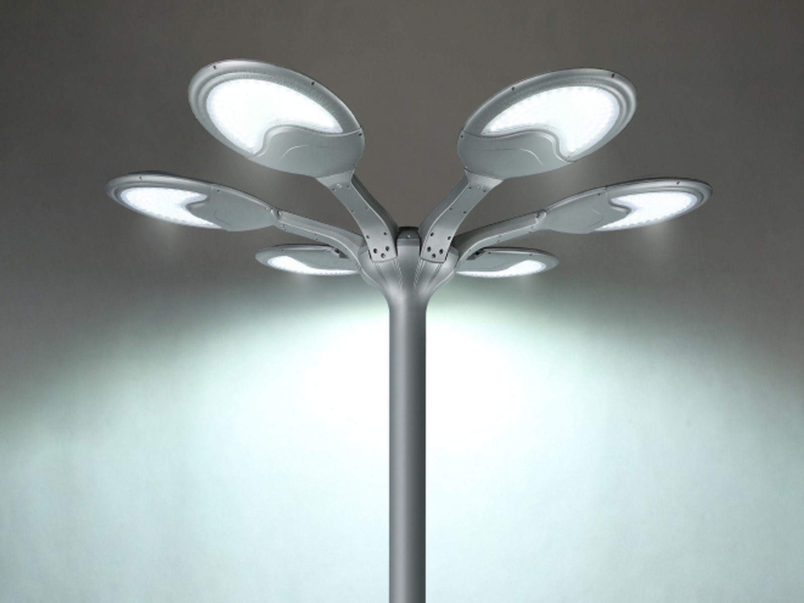 SSL-5109 360-degree Radial Petal Illuminated Distribution